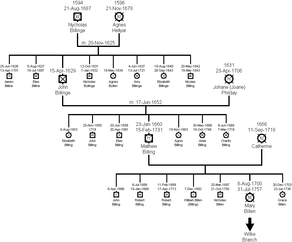 Family Tree of the Billen Branch
