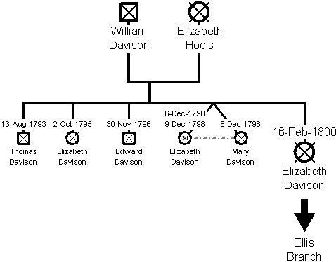 Family Tree of the Davison Branch