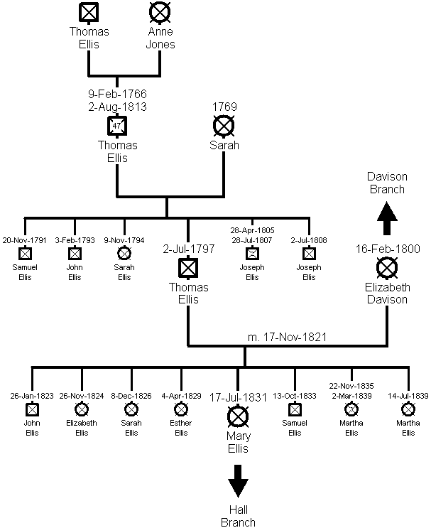 Family Tree - Ellis Branch