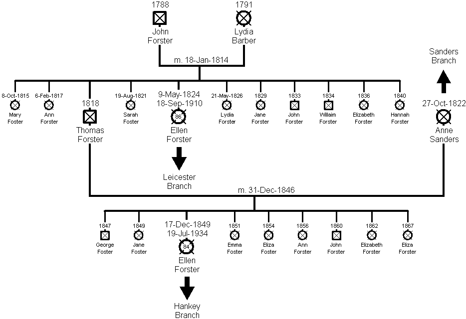 Family Tree of the Forster Branch