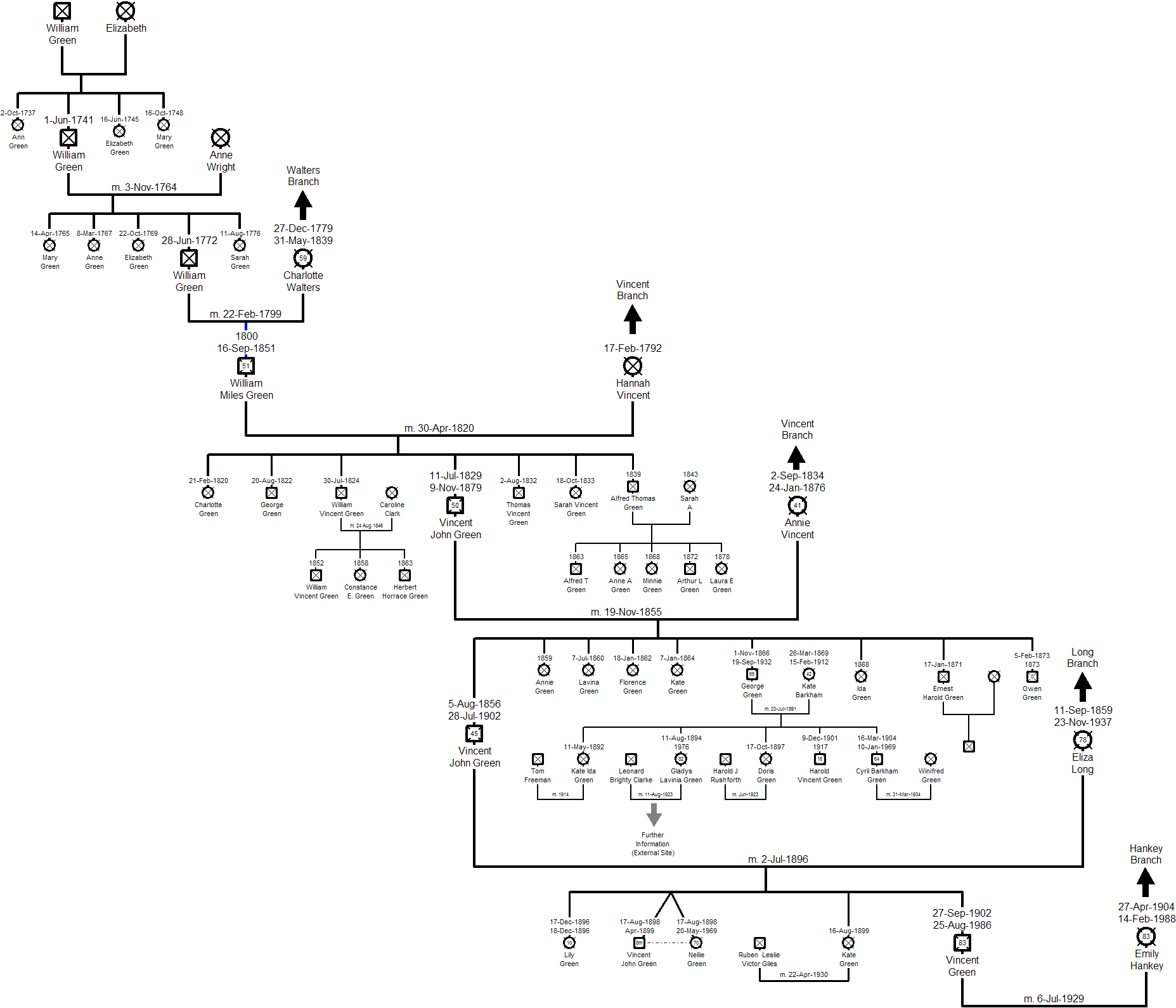 Family Tree - Green Branch