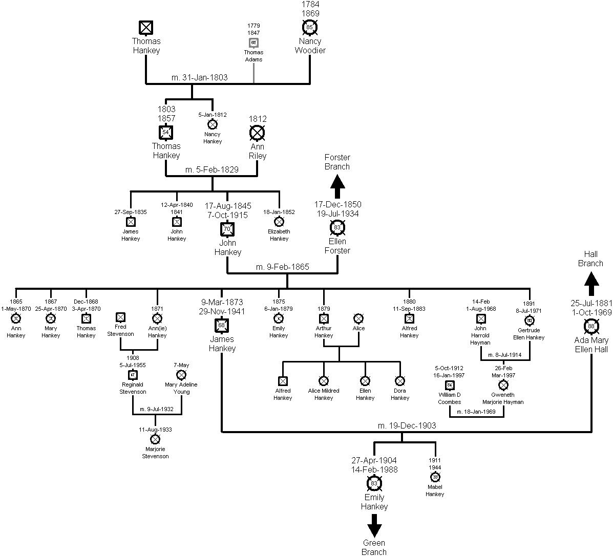 Family Tree of the Hankey Branch