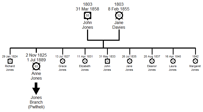 Family Tree of the llandwrog Jones Branch