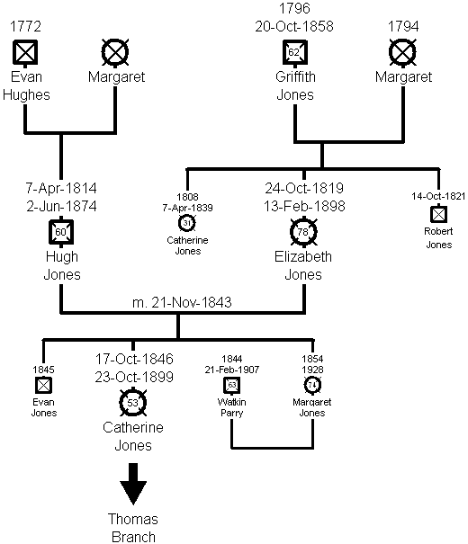 Family Tree of the Morfa Nefyn Jones Branch