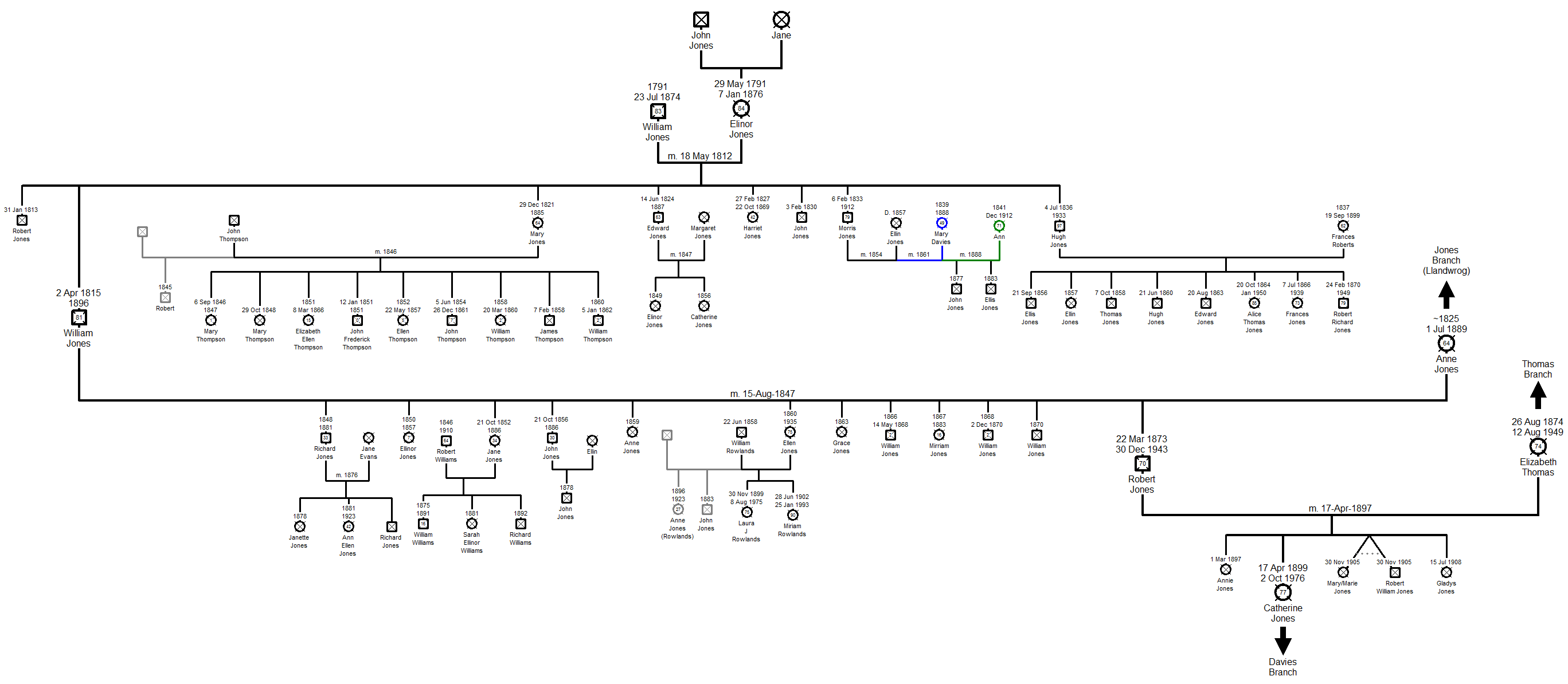 Family Tree of the Pwllheli Jones Branch
