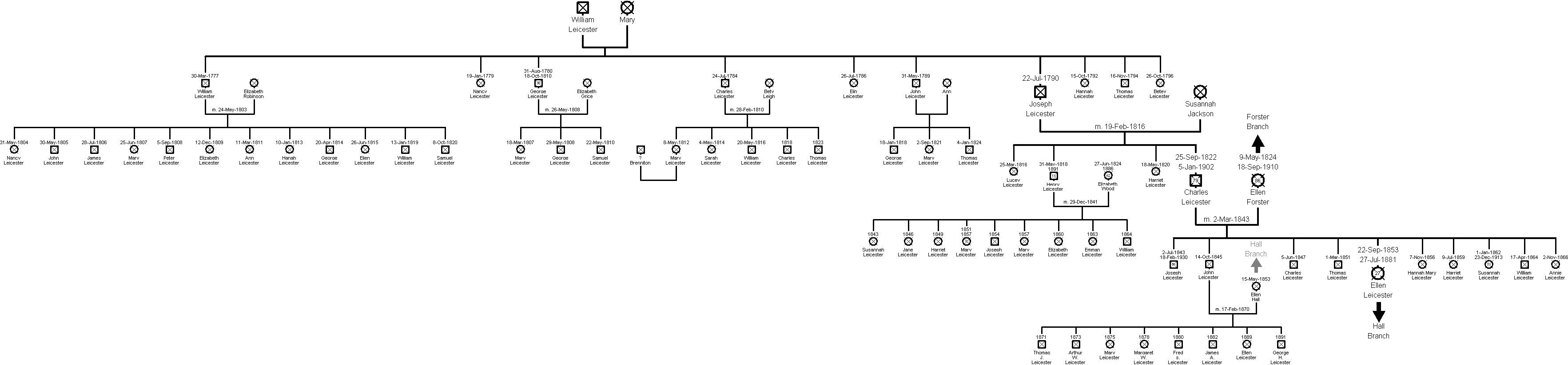 Family Tree of the Leicester Branch