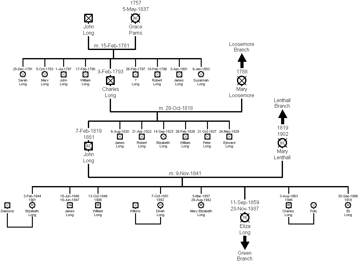 Family Tree of the Long Branch