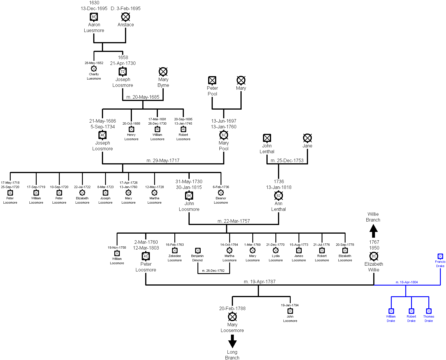 Family Tree of the Loosemore Branch