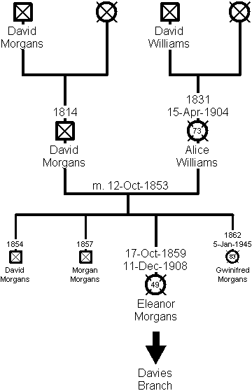 Family Tree of the morgans Branch