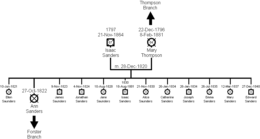 Family Tree of the Sanders Branch