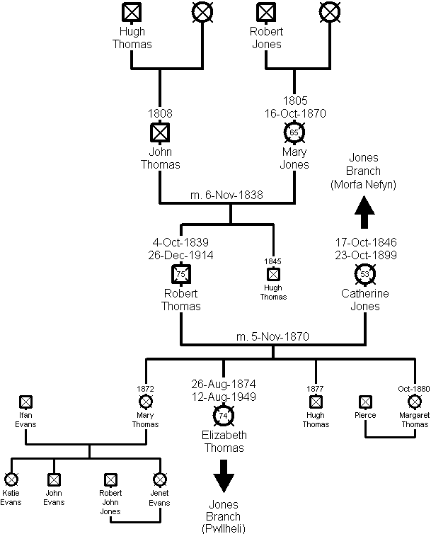 Family Tree of the Thomas Branch