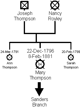 Family Tree of the Thompson Branch